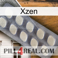 Xzen 08